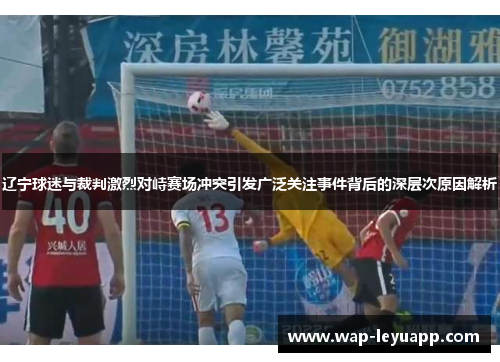 辽宁球迷与裁判激烈对峙赛场冲突引发广泛关注事件背后的深层次原因解析