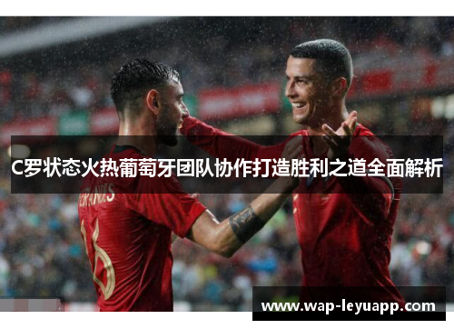 C罗状态火热葡萄牙团队协作打造胜利之道全面解析 C罗状态火热葡萄牙团队协作打造胜利之道全面解析