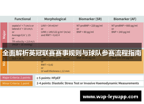 全面解析英冠联赛赛事规则与球队参赛流程指南 全面解析英冠联赛赛事规则与球队参赛流程指南