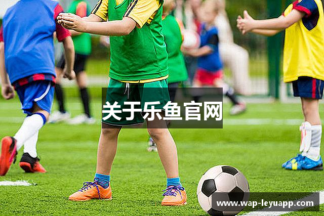 关于乐鱼官网
